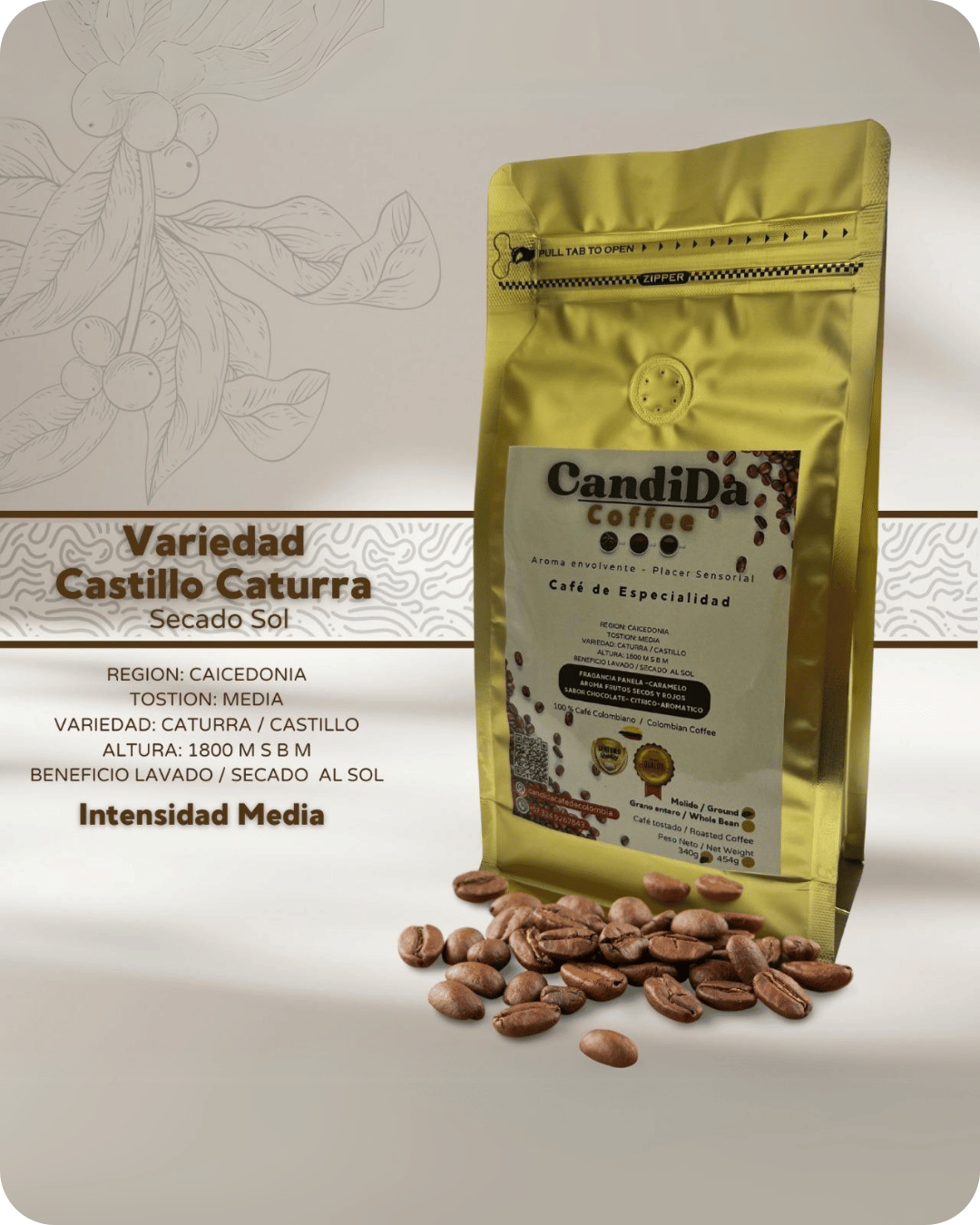 cafe de especialidad castillo caturra