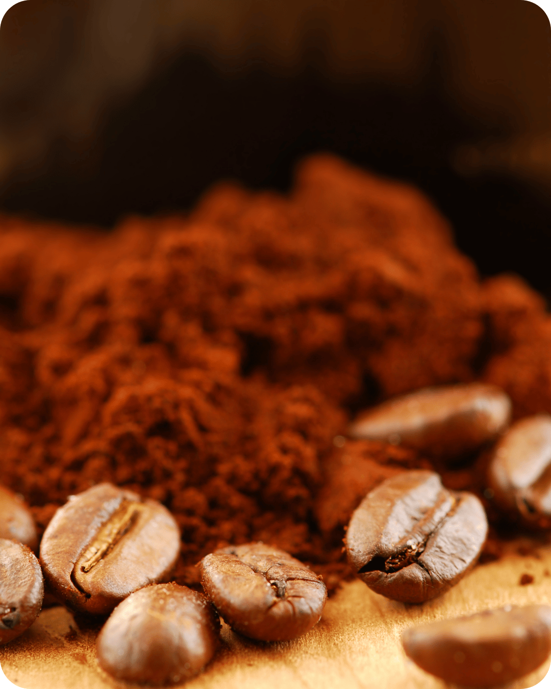 cafe de especialidad castillo blend