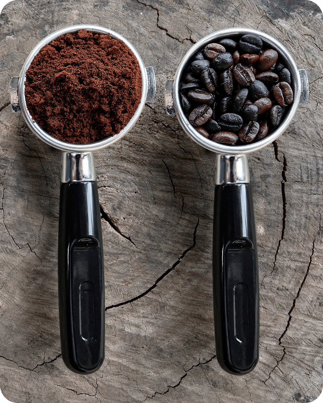 cafe de especialidad castillo blend